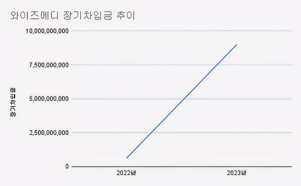 [진단_와이즈메디] 불안한 성장과 집중된 위험에 휩싸인 와이즈메디