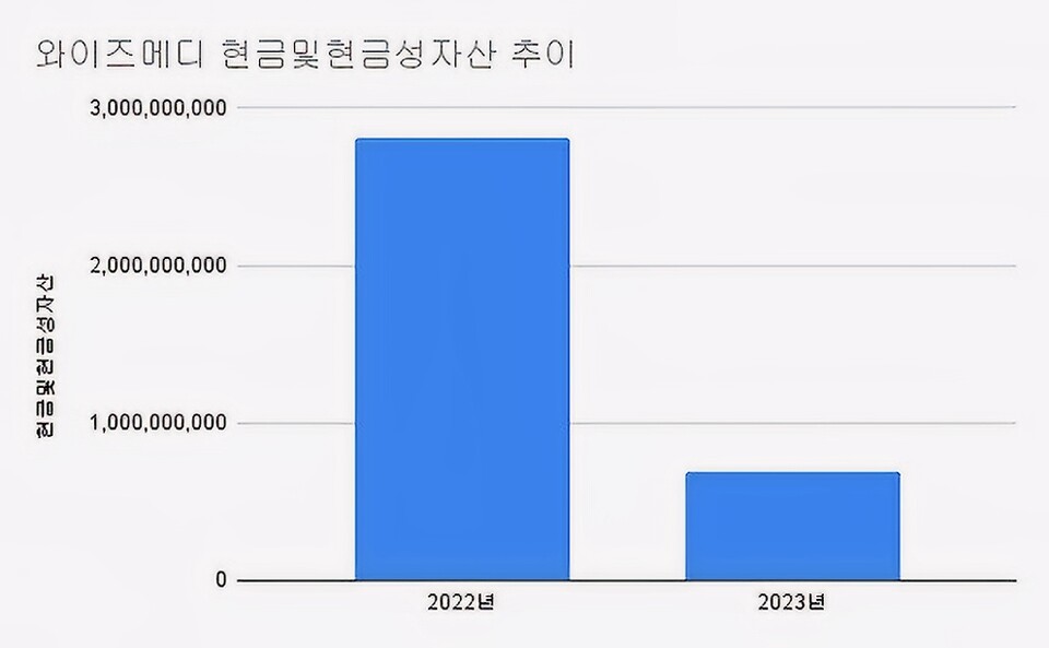 [진단_와이즈메디] 불안한 성장과 집중된 위험에 휩싸인 와이즈메디