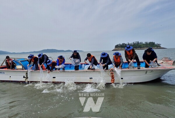 전남도해양수산과학원, 동부권역 굴 산업 활성화 나서