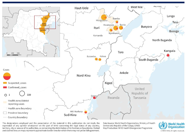 5. 전망 및 확인할 사항