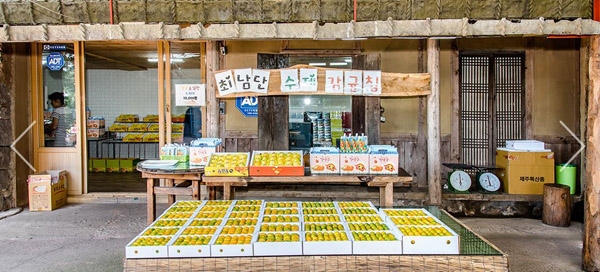 사계절 친환경 감귤 따고 동·식물체험, 휴양…생태체험농장 운영