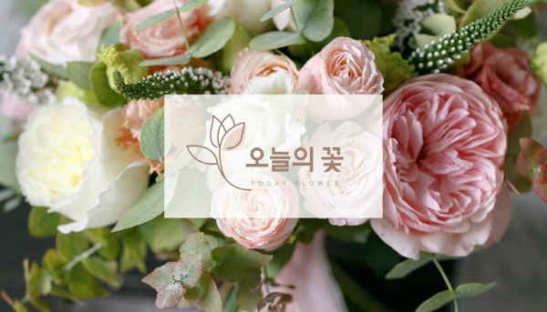 새벽배송으로 받는 꽃배달 위한 화훼시장 온라인 플랫폼 오늘의꽃 서비스 시작
