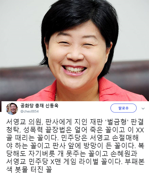 서영교 의원, 판사에게 지인 재판 청탁… 신동욱 "손혜원과 민주당 X맨 라이벌"