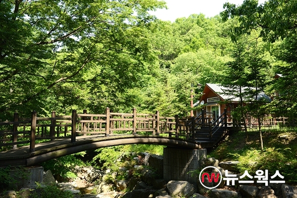 용인시, 백암면에 체류형 관광단지 팜 앤 포레스트 타운 조성