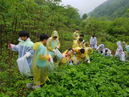 경북도, 민박과 체험 가능한 산촌생태마을 17곳 운영... 가족여행의 최적지