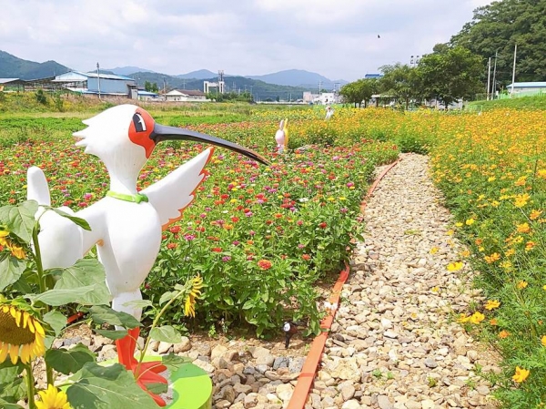 경산시 용성면, 하천부지를 이용한 꽃단지 조성