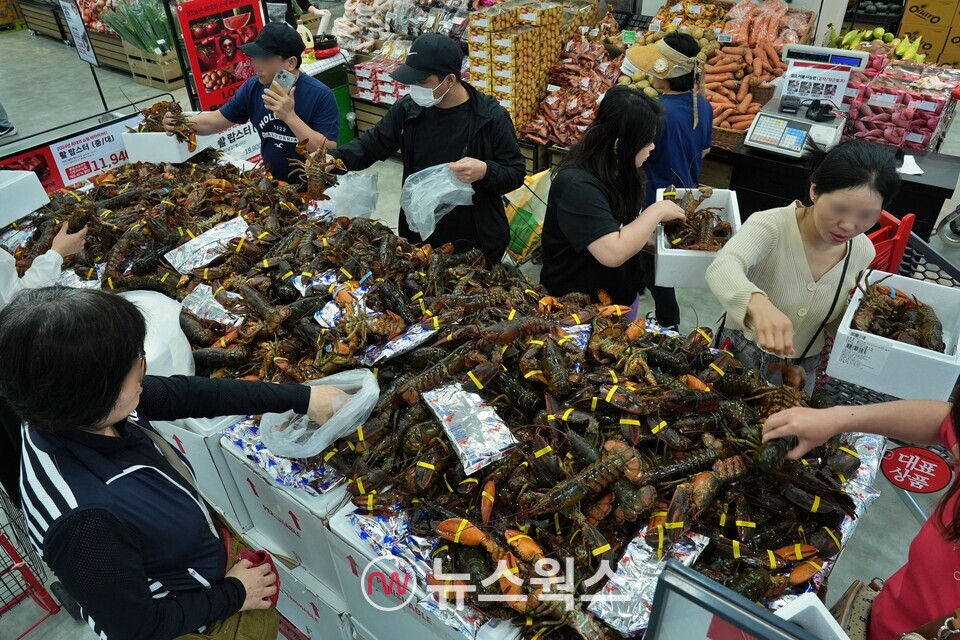[#꿀혜택] 롯데마트 활 랍스터 특가‧쿠팡 경주월드 종일권‧농심... CJ올리브영 여름맞이 올영세일‧현대그린푸드 산들내음 그린위크