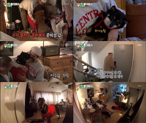미우새 배정남, 도베르만 벨 생이별에 시바견 춘뽕이 붙잡고 잘 지내줘