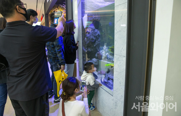 [포토] 안성 스타필드 개장 첫 주말