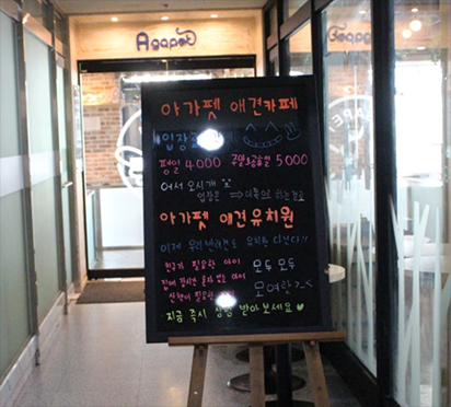 [청와대 개헌안 유망직종] ① 동물보호 조항 신설되면 반려동물 산업 키워드는 세분화