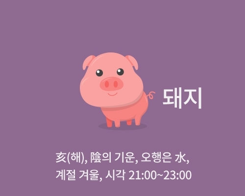 [오늘의 띠별 운세] 돼지띠, 6월 2일(일요일).. 95년생 여러 문제로 부모와 대립할 수 있다
