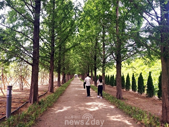 영천시, 산림청 공모 ‘미세먼지 차단숲’ 조성사업 선정