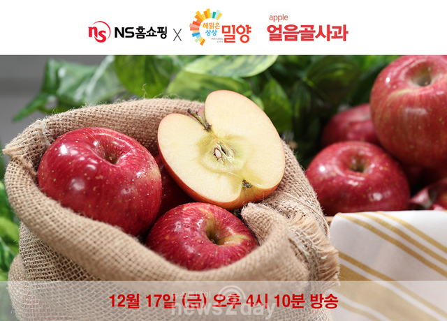 NS홈쇼핑, 13브릭 꿀사과 ‘밀양얼음골사과’ 17일 특집 방송