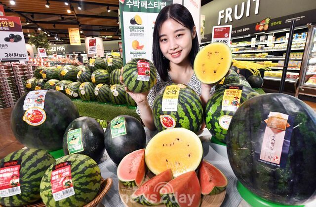 [뉴투포토] 홈플러스 “이색 수박 다 모았어요~”