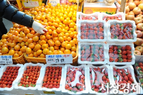 [대박집] 과일값 거품 모조리 뺐어요... 하루 한품목 70% 할인