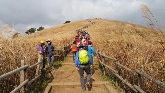24년의 역사를 자랑하는 오행생식 산악회, 건전 산행 문화 만들기에 앞장서