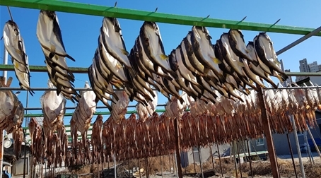 속초 맛집 맑은 해풍이 정성껏 자연 건조한 명품 코다리 ‘경원덕장’