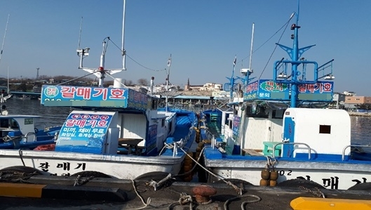 속초 맛집 겨울여행, 제철 해산물과 낭만 만끽하는 ‘갈매기횟집’