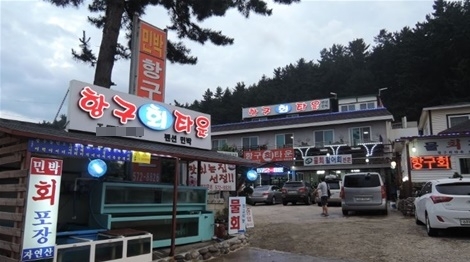 삼척 맛집, 바다의 낭만과 신선한 해산물 ‘항구회타운’