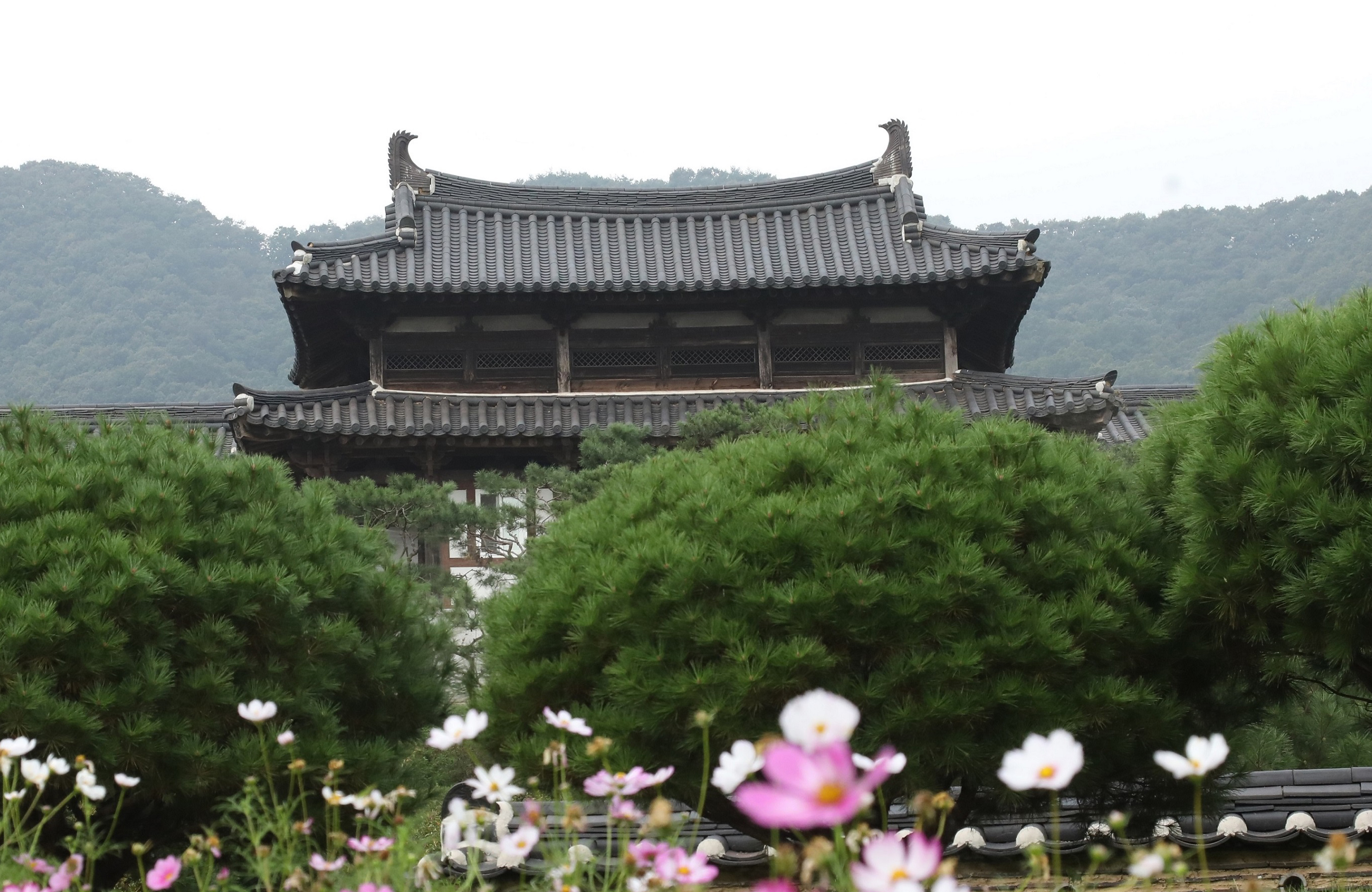 경기도한의사회, ‘한의가족 축제 한마당 사진 콘테스트’ 수상작 선정