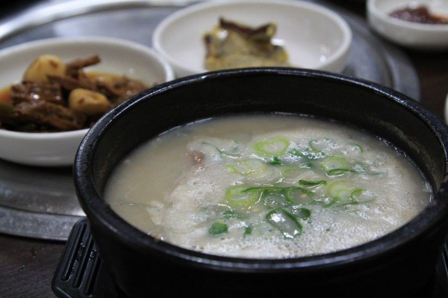 [말(馬) 기자의 일상 단골 – 제주 편1] “고우디 고운 말고기, 하영 드십써”