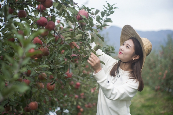 영주농기센터, 과수농가 경쟁력 `확` 높인다