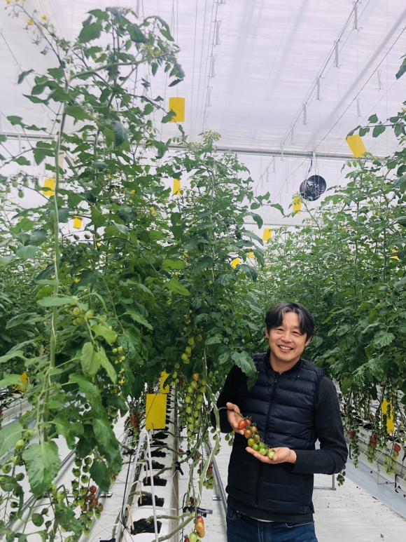 경주농업기술센터, 토마토 스마트팜 보급 확대
