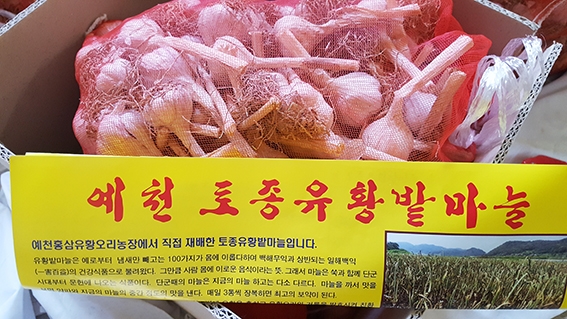 명인이 키운 `예천 토종유황밭마늘`, 전국 소비자들에게 인기만점
