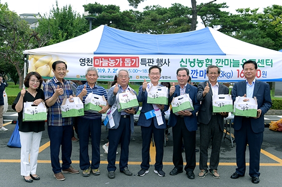˝마늘농가 힘내세요˝, 영천시 마늘소비촉진 두팔 걷었다