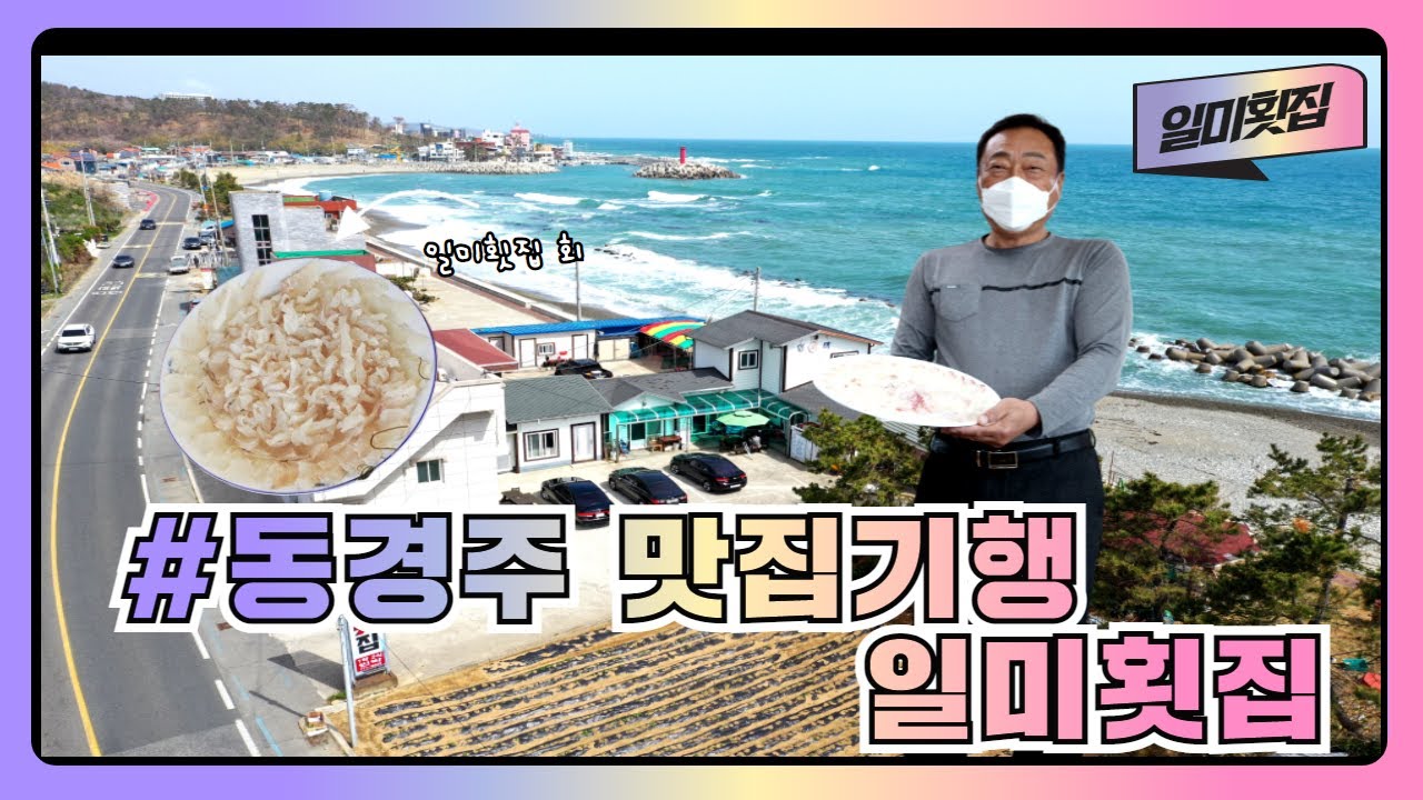 [동경주 맛집기행] 경주시 감포읍 대본2리 `일미횟집`