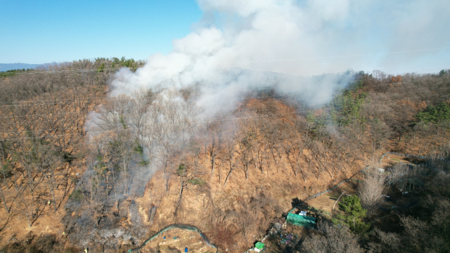 대구 수성구 무학산서 산불...잡풀 태우다 번져