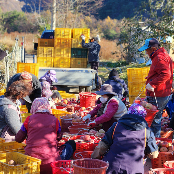 이팝나무사회적협동조합, 주거 취약계층과 함께 안동 고랭지 꿀부사 판매