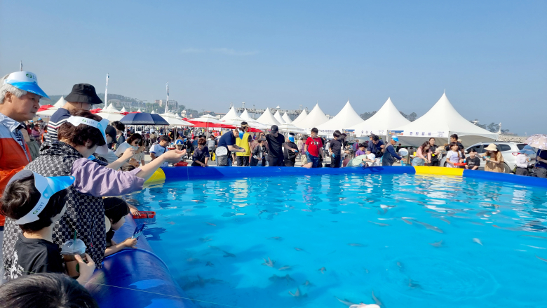 [기획특집] 동경주 구석구석 ② 감포항 가자미 축제