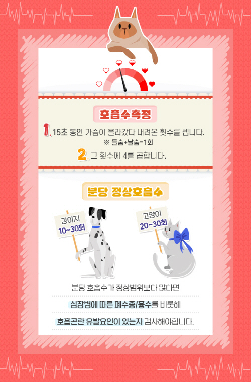[반려동물 건강이야기] 건강상태를 나타내는 바로미터, 반려동물 바이탈사인