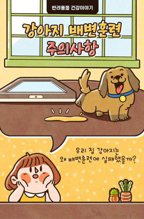 [반려동물 건강이야기] 강아지 배변훈련 주의사항