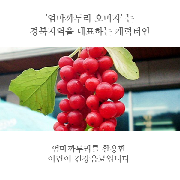  [카드뉴스] 이로하영농조합법인, 신제품 출시 예정 