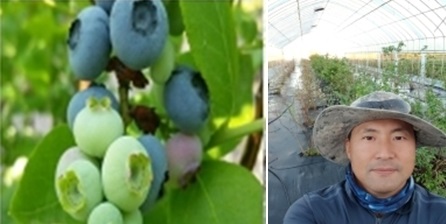 민통선에 부는 새로운 바람, 민통선블루베리 계룡박농장