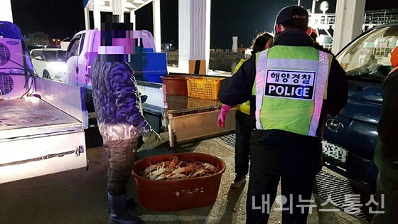 울진해경, 불법 대게 판매 수산자원관리법 위반 40대 선장 체포