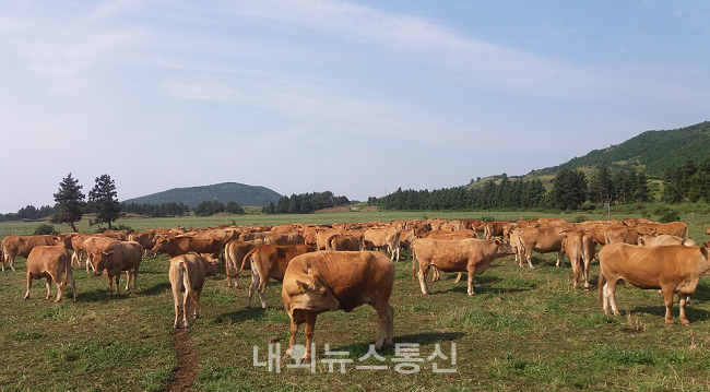 파주시, 농가사료구매자금 지원