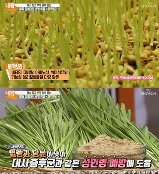 풍부한 영양소·비만 개선 새싹보리분말 해독주스 효능 들여다보니?