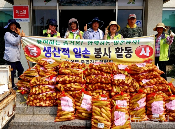 삼성면주민자치위원회, 사랑의 옥수수 수확