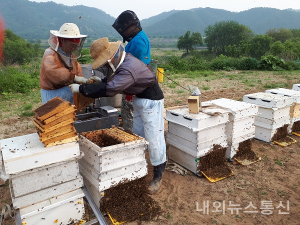 [포토] 충주꿀단지농원꿀, 충북도 우수농특산물 선정