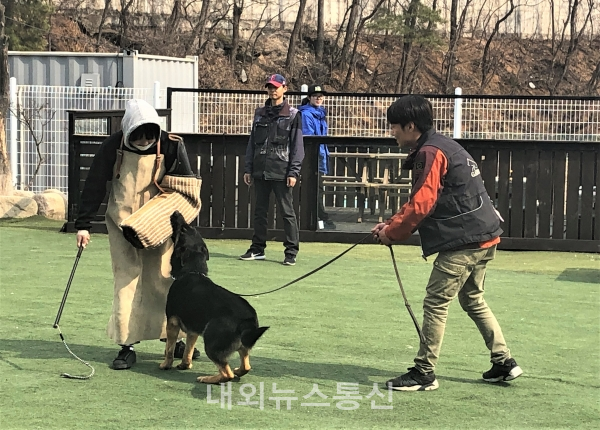 [기획기사①] 대한민국 펫 교육의 중심  한국펫고등학교를 가다