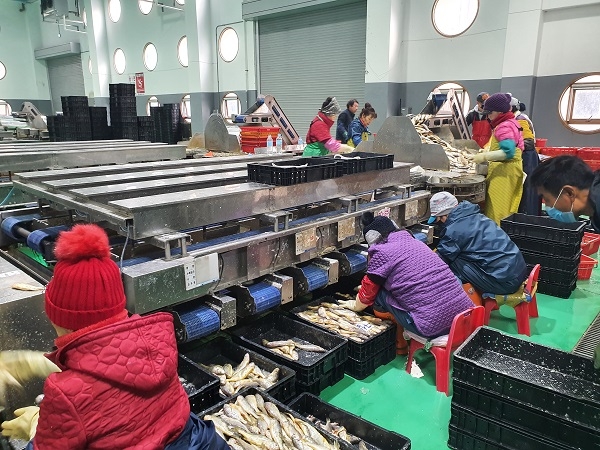 전남도, 해수부 저온경매장 시설 공모 선정