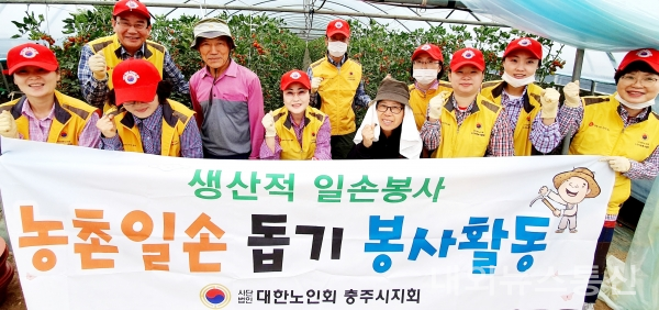 (사)대한노인회충주시지회 농촌일손돕기 봉사활동 펼쳐