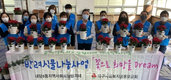 대구 서구 내당4동 지역사회보장협의체, 1인가구 반려식물 나눔