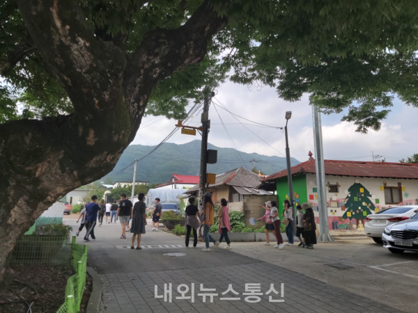 이천 백사면주민자치위원회, 분과별 사업 진행