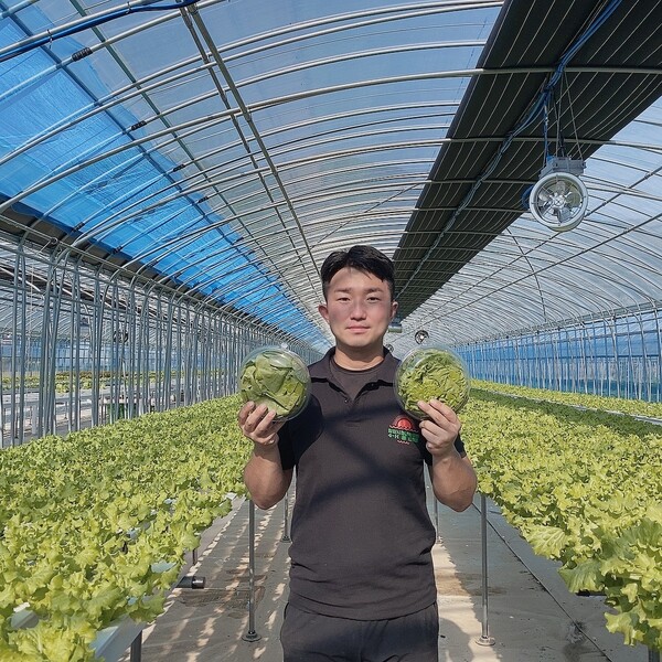 경남 유일, 샐러드채소 청년 스마트팜 사촌농장