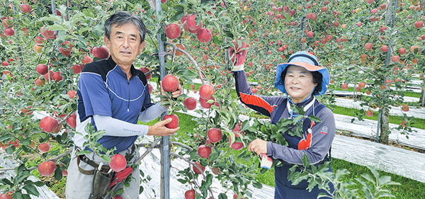 열정과 땀으로 일군 명품사과 주신복(福) 농원