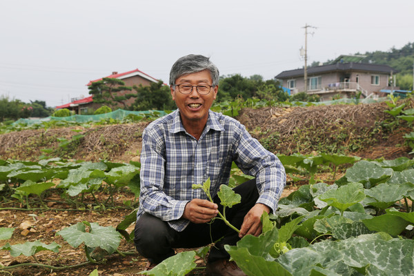 충남 서산 고향나루농원   최근학 대표